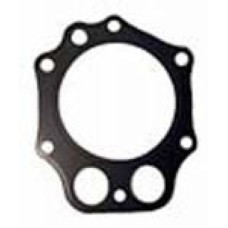 Club Car Head Gasket FE350