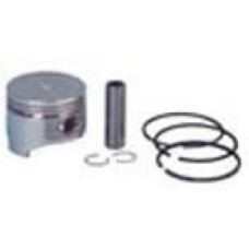 Piston and Ring Assembly Standard for 1991-Present