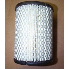 EZGO Air Filter 2 Cycle